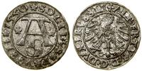 Prusy Książęce (1525–1657), szeląg, 1550