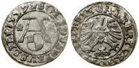 Prusy Książęce (1525–1657), szeląg, 1557