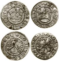 Polska, lot 2 x półgrosz, 1509, 1510