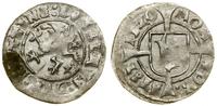Pomorze, witten, 1520