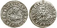 Polska, półgrosz, 1511