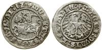 Polska, półgrosz, 1512