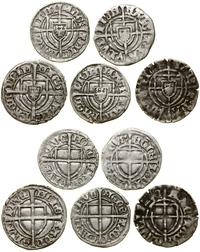 Zakon Krzyżacki, zestaw 5 x szeląg