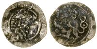 Śląsk, halerz, (1422–ok. 1430)