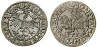 Polska, półgrosz, 1555