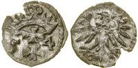 Polska, denar, 1554
