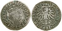 Polska, grosz, 1534