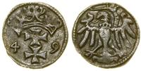 Polska, denar, 1549