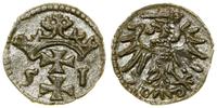 Polska, denar, 1551