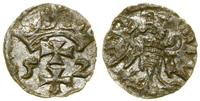 Polska, denar, 1552