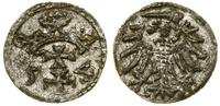 Polska, denar, 1554