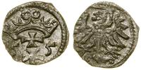Polska, denar, 1555