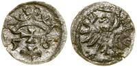 Polska, denar, 1556