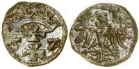 Polska, denar, 1557