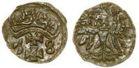 Polska, denar, 1558