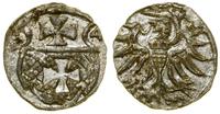 Polska, denar, 1554