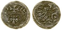 Polska, denar, 1555