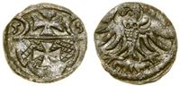 Polska, denar, 1556