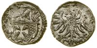 Polska, denar, 1556