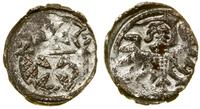 Polska, denar, 1557