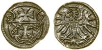 Polska, denar, 1557