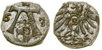 Prusy Książęce (1525–1657), denar, 1563