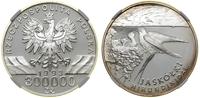 Polska, 300.000 złotych, 1993