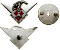 Polska, zestaw 2 odznak, 1974