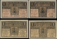 Śląsk Cieszyński, zestaw: 2 x 1 korona, 30.04.1919 i 25.10.1919