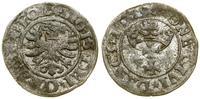 Polska, szeląg, 1531