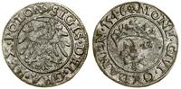 Polska, szeląg, 1546