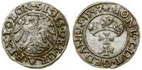 Polska, szeląg, 1547