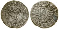 Polska, szeląg, 1529
