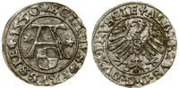 Prusy Książęce (1525–1657), szeląg, 1550