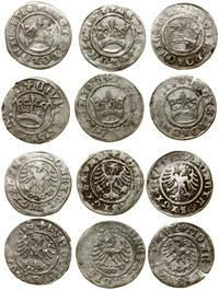 Polska, zestaw: 6 x półgrosz, 1507–1526