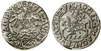 Polska, półgrosz, 1556