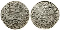 Polska, półgrosz, 1557
