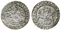 Polska, półgrosz, 1562