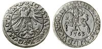 Polska, półgrosz, 1563