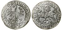 Polska, półgrosz, 1564