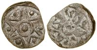 Pomorze Zachodnie, denar, XV w.