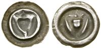 brakteat, ok. 1307–1318, Tarcza zakonna, nad nią