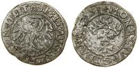 Polska, szeląg, 1551