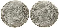 Polska, biały grosz, bez daty (1505)