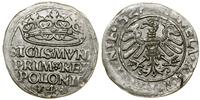 Polska, grosz, 1527