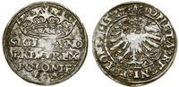 Polska, grosz, 1527