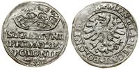 Polska, grosz, 1528
