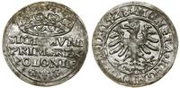 Polska, grosz, 1528