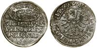Polska, grosz, 1529