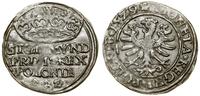 Polska, grosz, 1529